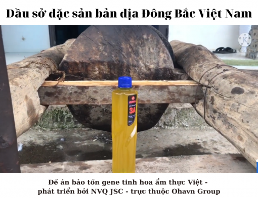 Dầu ăn sở dân tộc Tày Đông Bắc - Việt Nam